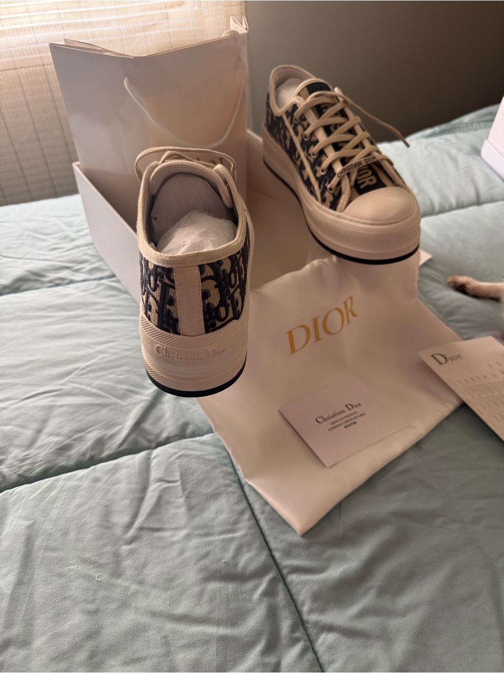 Christian Dior Oblique Canvas Low-Top Sneakers - Cream & Blue - Picture 2 of 4